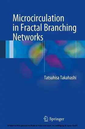 Takahashi | Microcirculation in Fractal Branching Networks | E-Book | www.sack.de