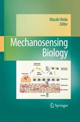 Noda |  Mechanosensing Biology | Buch |  Sack Fachmedien