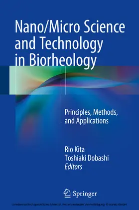 Kita / Dobashi | Nano/Micro Science and Technology in Biorheology | E-Book | www.sack.de