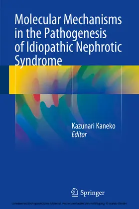 Kaneko |  Molecular Mechanisms in the Pathogenesis of Idiopathic Nephrotic Syndrome | eBook | Sack Fachmedien
