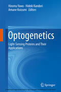 Yawo / Kandori / Koizumi |  Optogenetics | eBook | Sack Fachmedien