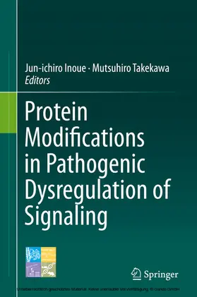 Inoue / Takekawa |  Protein Modifications in Pathogenic Dysregulation of Signaling | eBook | Sack Fachmedien