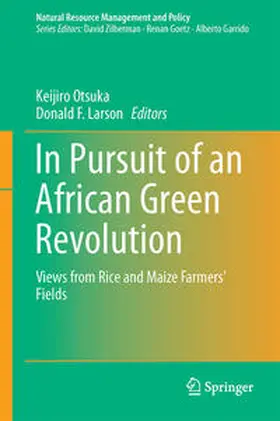 Larson / Otsuka |  In Pursuit of an African Green Revolution | Buch |  Sack Fachmedien