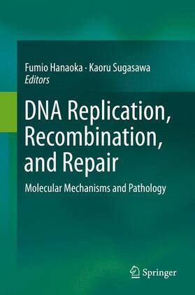 Sugasawa / Hanaoka | DNA Replication, Recombination, and Repair | Buch | 978-4-431-55871-2 | sack.de