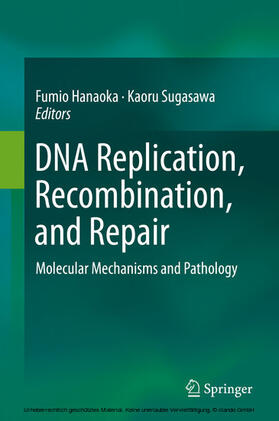 Hanaoka / Sugasawa | DNA Replication, Recombination, and Repair | E-Book | sack.de