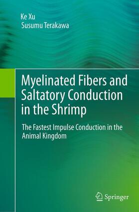 Xu / Terakawa | Myelinated Fibers and Saltatory Conduction in the Shrimp | Buch | 978-4-431-56107-1 | sack.de