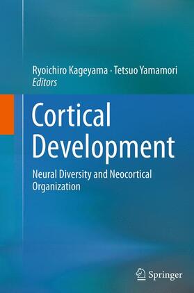 Yamamori / Kageyama | Cortical Development | Buch | 978-4-431-56117-0 | sack.de