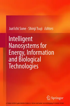 Sone / Tsuji | Intelligent Nanosystems for Energy, Information and Biological Technologies | E-Book | www.sack.de