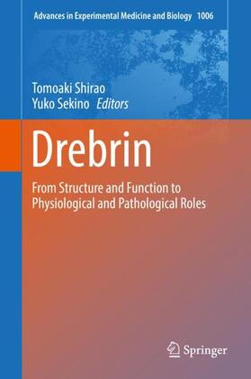Sekino / Shirao | Drebrin | Buch | 978-4-431-56548-2 | sack.de