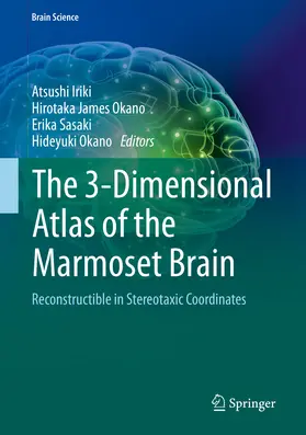 Iriki / Okano / Sasaki |  The 3-Dimensional Atlas of the Marmoset Brain | eBook | Sack Fachmedien