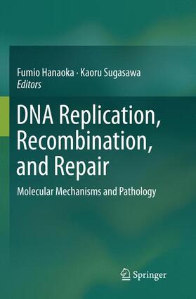 Sugasawa / Hanaoka | DNA Replication, Recombination, and Repair | Buch | 978-4-431-56717-2 | sack.de