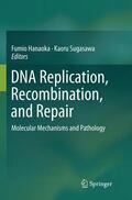 Sugasawa / Hanaoka |  DNA Replication, Recombination, and Repair | Buch |  Sack Fachmedien