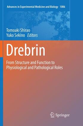 Sekino / Shirao | Drebrin | Buch | sack.de