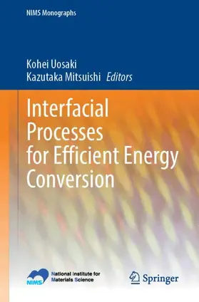 Uosaki / Mitsuishi |  Interfacial Processes for Efficient Energy Conversion | Buch |  Sack Fachmedien