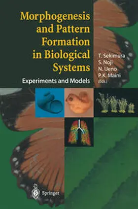 Sekimura / Noji / Ueno | Morphogenesis and Pattern Formation in Biological Systems | E-Book | sack.de