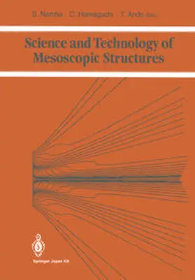 Namba / Hamaguchi / Ando |  Science and Technology of Mesoscopic Structures | eBook | Sack Fachmedien