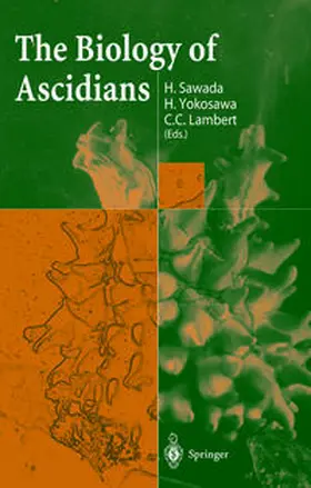 Sawada / Yokosawa / Lambert |  The Biology of Ascidians | eBook | Sack Fachmedien