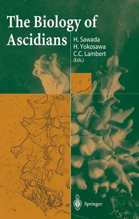 Sawada / Yokosawa / Lambert |  The Biology of Ascidians | Buch |  Sack Fachmedien