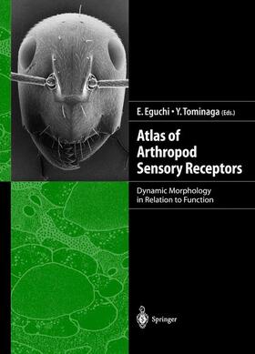 Tominaga / Eguchi | Atlas of Arthropod Sensory Receptors | Buch | 978-4-431-70233-7 | sack.de