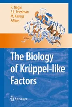 Nagai / Friedman / Kasuga |  The Biology of Krüppel-like Factors | eBook | Sack Fachmedien