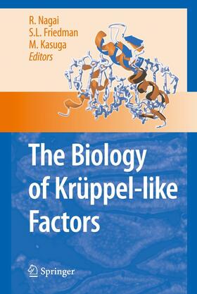 Nagai / Nagi / Friedman | The Biology of Krüppel-like Factors | E-Book | sack.de