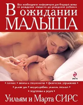 Sears |  Pregnancy book | eBook | Sack Fachmedien