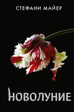 Meyer |  Novolunie | eBook | Sack Fachmedien