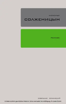 Solzhenitsyn |  Ranneye | eBook | Sack Fachmedien