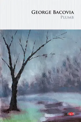 Bacovia |  Plumb (Carte pentru to¿i) | eBook | Sack Fachmedien