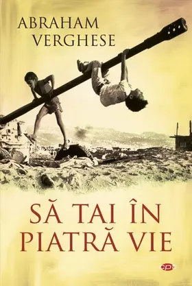 Verghese |  Sa tai în piatra vie | eBook | Sack Fachmedien