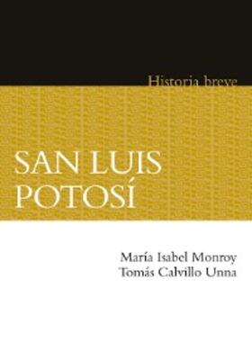 Monroy Castillo / Calvillo Unna / Hernández Chávez |  San Luis Potosí | eBook | Sack Fachmedien