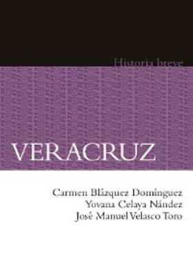 Blázquez Domínguez / Celaya Nández / Velasco Toro |  Veracruz | eBook | Sack Fachmedien