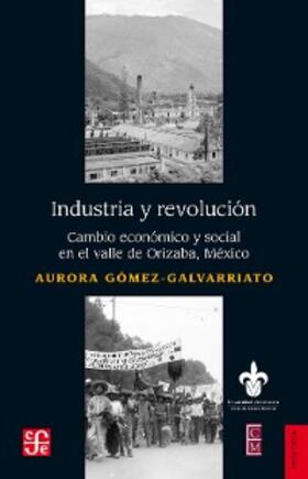 Gomez-Galvarriato |  Industria y Revolucion. Cambio Economico y Social En El Valle de Orizaba, Mexico | Buch |  Sack Fachmedien