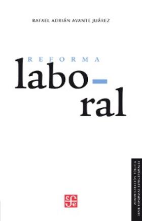 Avante Juárez |  La reforma laboral | eBook | Sack Fachmedien