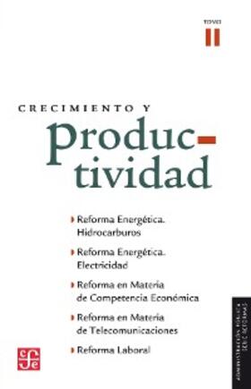 Flores Quiroga / Hernández Ochoa / Palacios Prieto |  Crecimiento y productividad, II | eBook | Sack Fachmedien
