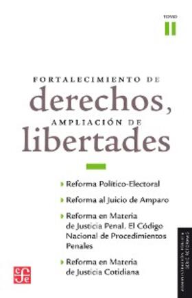 Ferrer Mac-Gregor / Higuera Bernal / López Noriega | Fortalecimiento de derechos, ampliación de libertades, II | E-Book | sack.de