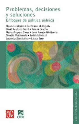 Merino / Sour / Cejudo |  Problemas, decisiones y soluciones | eBook | Sack Fachmedien