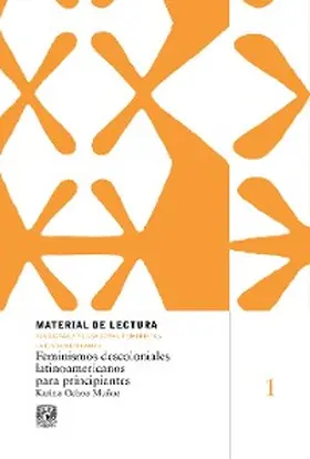 Ochoa Muñoz |  Feminismos descoloniales latinoamericanos para principiantes | eBook | Sack Fachmedien
