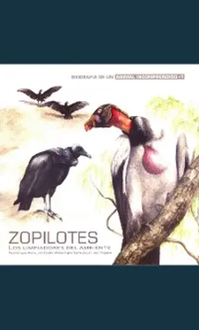 Enríquez Rocha / Coutiño Molina / Calmé |  Zopilotes | eBook | Sack Fachmedien