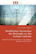 Diampeni |  Modélisation Dynamique Des Décharges Sur Des Surfaces Isolantes | Buch |  Sack Fachmedien