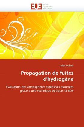 Dubois |  Propagation de fuites d''hydrogène | Buch |  Sack Fachmedien