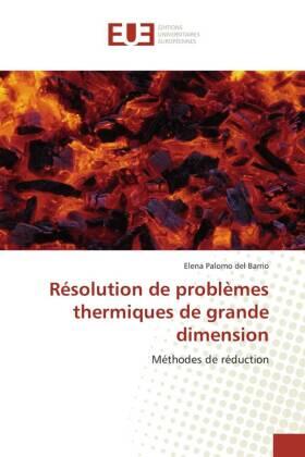 Palomo Del Barrio |  Résolution de problèmes thermiques de grande dimension | Buch |  Sack Fachmedien