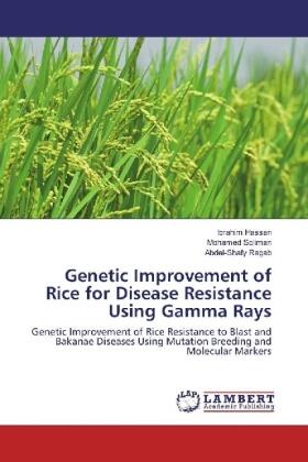 Hassan / Soliman / Ragab |  Genetic Improvement of Rice for Disease Resistance Using Gamma Rays | Buch |  Sack Fachmedien