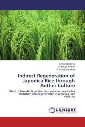 Sharma / Kumari / Sutradhar |  Indirect Regeneration of Japonica Rice through Anther Culture | Buch |  Sack Fachmedien