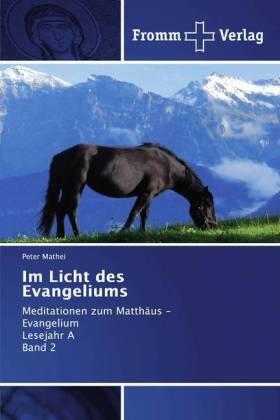Mathei |  Im Licht des Evangeliums | Buch |  Sack Fachmedien