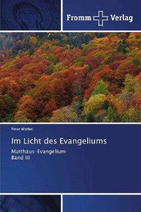 Mathei |  Im Licht des Evangeliums | Buch |  Sack Fachmedien