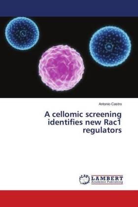 Castro |  A cellomic screening identifies new Rac1 regulators | Buch |  Sack Fachmedien