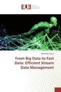 Costan |  From Big Data to Fast Data: Efficient Stream Data Management | Buch |  Sack Fachmedien
