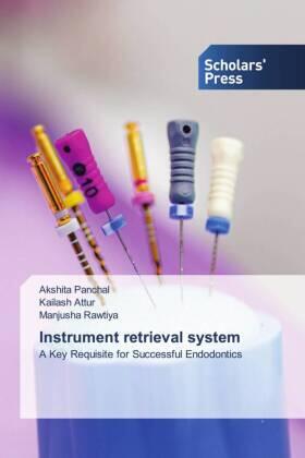 Panchal / Attur / Rawtiya |  Instrument retrieval system | Buch |  Sack Fachmedien