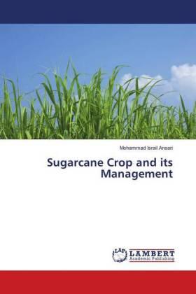 Ansari |  Sugarcane Crop and its Management | Buch |  Sack Fachmedien